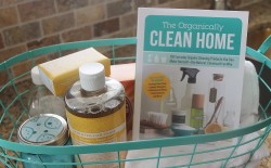 organically clean home