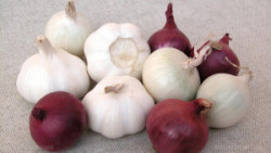 Onions-Garlic-Vegetables